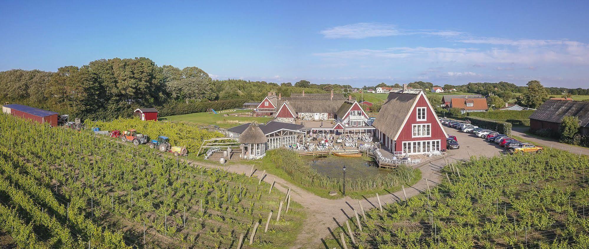 Arilds Vingard B&B 외부 사진